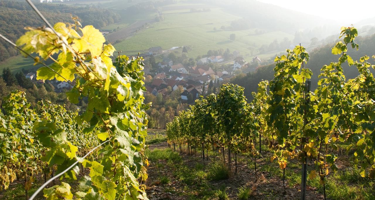 Weingut Hees - Landgasthof Zum Jaeger Aus Kurpfalz Auen Eksteriør bilde