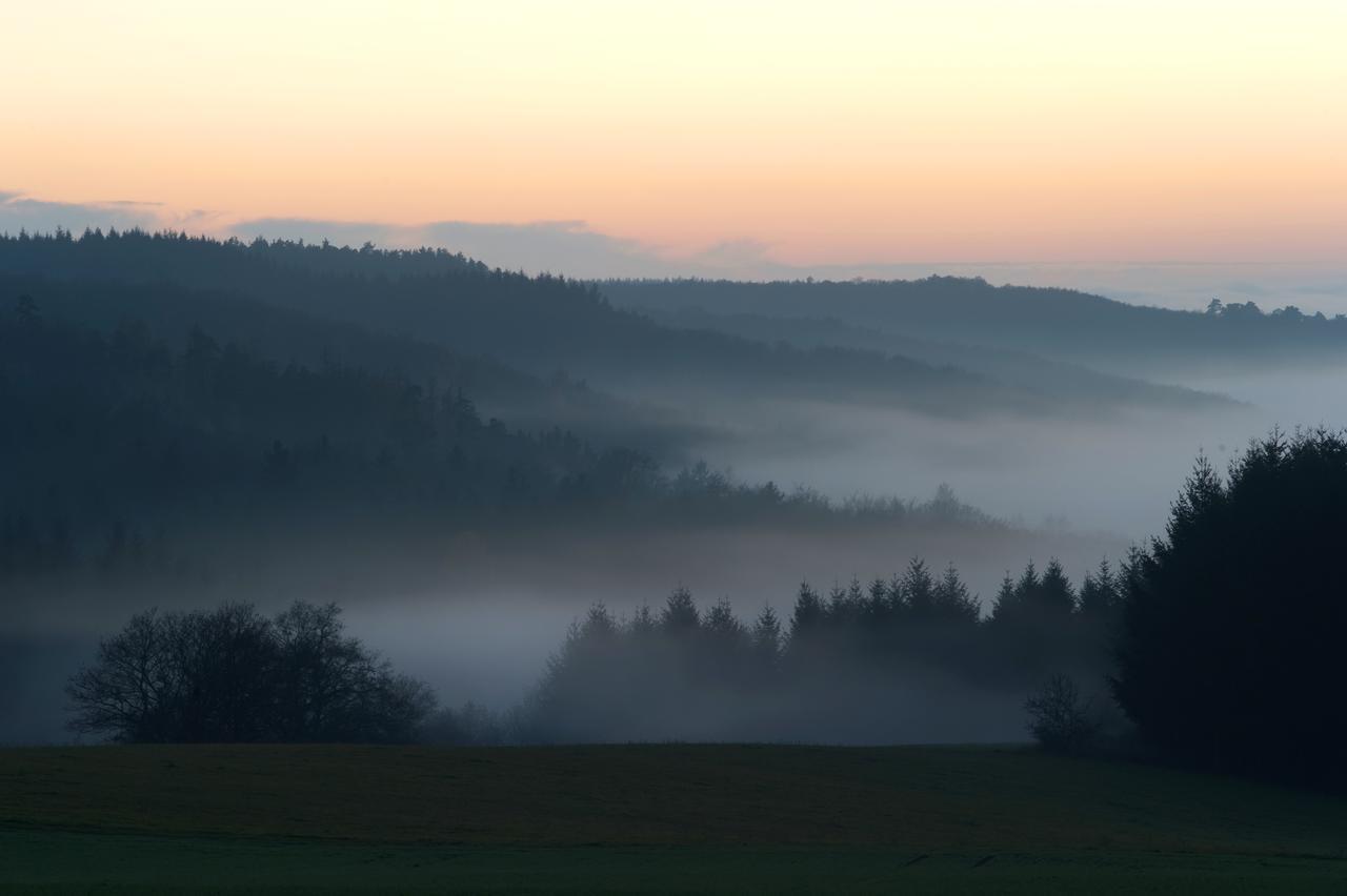 Weingut Hees - Landgasthof Zum Jaeger Aus Kurpfalz Auen Eksteriør bilde