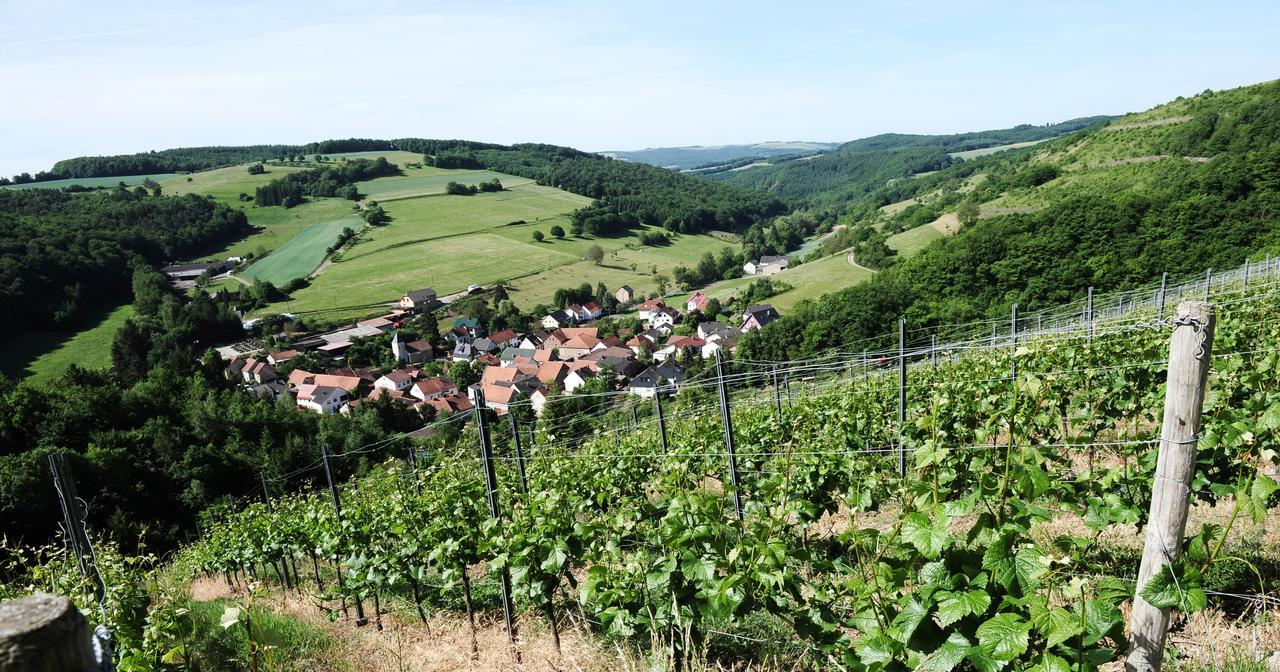 Weingut Hees - Landgasthof Zum Jaeger Aus Kurpfalz Auen Eksteriør bilde